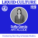 artwork for Where Code Meets Art | Sofia Garcia