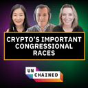 artwork for It’s Not Just the Presidency. Congressional Races Matter a Lot for Crypto