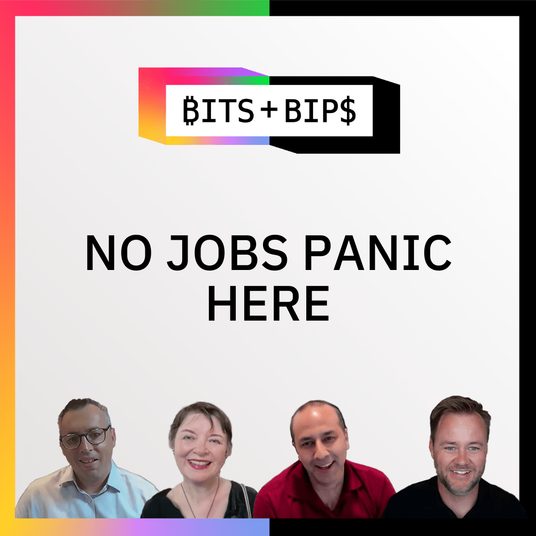 Bits + Bips: Why Investors Are Looking at the Jobs Data All Wrong coverart