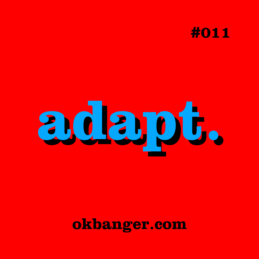 011 - adapt. coverart